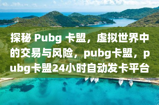 探秘 Pubg 卡盟，虚拟世界中的交易与风险，pubg卡盟，pubg卡盟24小时自动发卡平台