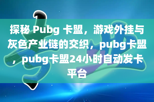 探秘 Pubg 卡盟，游戏外挂与灰色产业链的交织，pubg卡盟，pubg卡盟24小时自动发卡平台