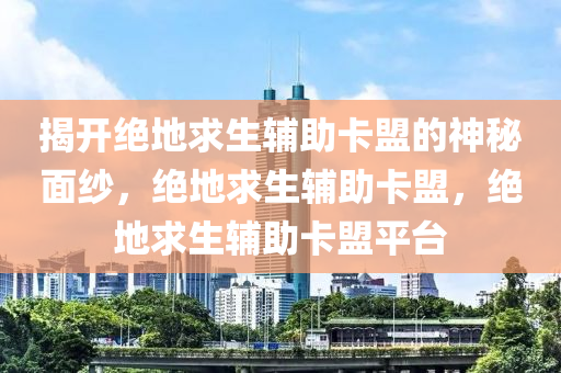 揭开绝地求生辅助卡盟的神秘面纱，绝地求生辅助卡盟，绝地求生辅助卡盟平台