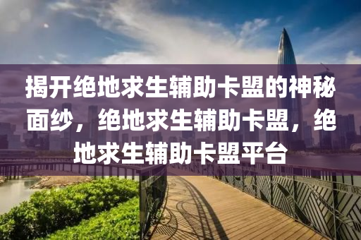 揭开绝地求生辅助卡盟的神秘面纱，绝地求生辅助卡盟，绝地求生辅助卡盟平台