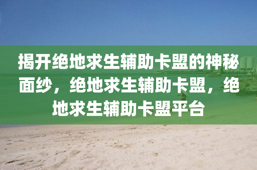 揭开绝地求生辅助卡盟的神秘面纱，绝地求生辅助卡盟，绝地求生辅助卡盟平台