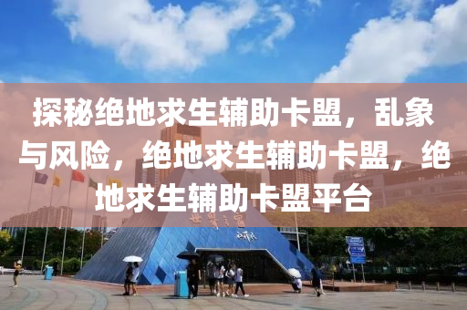 探秘绝地求生辅助卡盟，乱象与风险，绝地求生辅助卡盟，绝地求生辅助卡盟平台