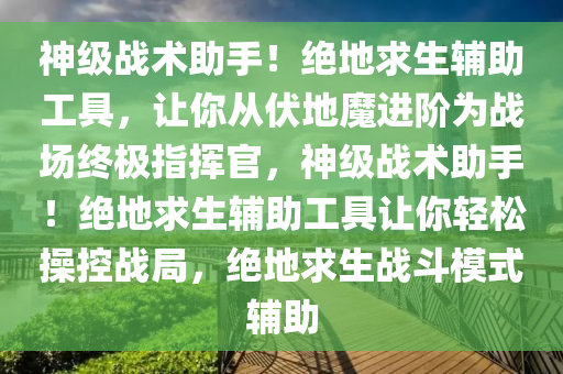 神级战术助手！绝地求生辅助工具，让你从伏地魔进阶为战场终极指挥官，神级战术助手！绝地求生辅助工具让你轻松操控战局，绝地求生战斗模式辅助