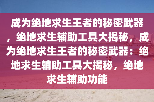 成为绝地求生王者的秘密武器，绝地求生辅助工具大揭秘，成为绝地求生王者的秘密武器：绝地求生辅助工具大揭秘，绝地求生辅助功能