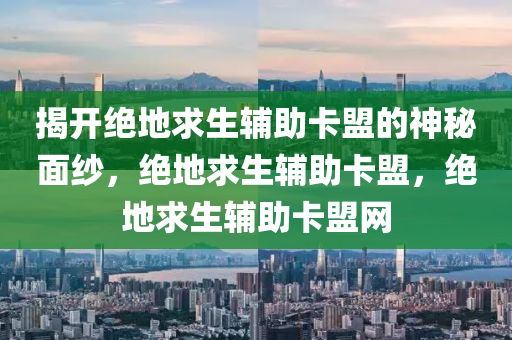 揭开绝地求生辅助卡盟的神秘面纱，绝地求生辅助卡盟，绝地求生辅助卡盟网