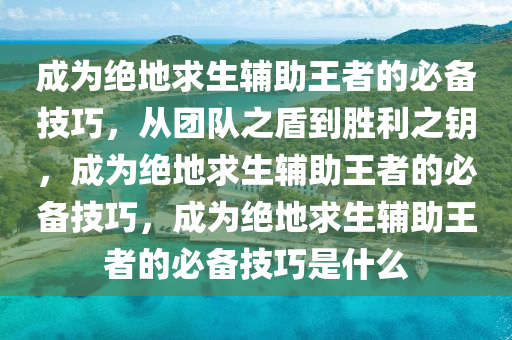 成为绝地求生辅助王者的必备技巧，从团队之盾到胜利之钥，成为绝地求生辅助王者的必备技巧，成为绝地求生辅助王者的必备技巧是什么