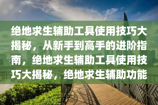 绝地求生辅助工具使用技巧大揭秘，从新手到高手的进阶指南，绝地求生辅助工具使用技巧大揭秘，绝地求生辅助功能