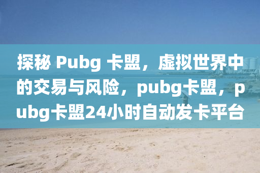 探秘 Pubg 卡盟，虚拟世界中的交易与风险，pubg卡盟，pubg卡盟24小时自动发卡平台