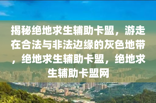 揭秘绝地求生辅助卡盟，游走在合法与非法边缘的灰色地带，绝地求生辅助卡盟，绝地求生辅助卡盟网