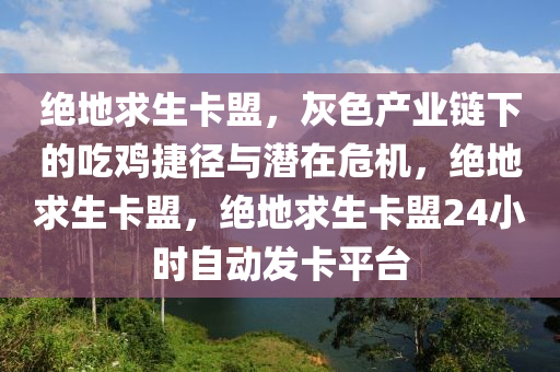 绝地求生卡盟，灰色产业链下的吃鸡捷径与潜在危机，绝地求生卡盟，绝地求生卡盟24小时自动发卡平台