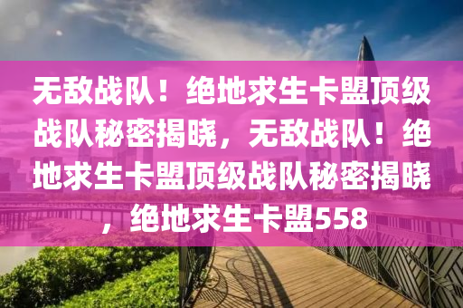 无敌战队！绝地求生卡盟顶级战队秘密揭晓，无敌战队！绝地求生卡盟顶级战队秘密揭晓，绝地求生卡盟558