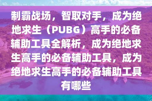 制霸战场，智取对手，成为绝地求生（PUBG）高手的必备辅助工具全解析，成为绝地求生高手的必备辅助工具，成为绝地求生高手的必备辅助工具有哪些