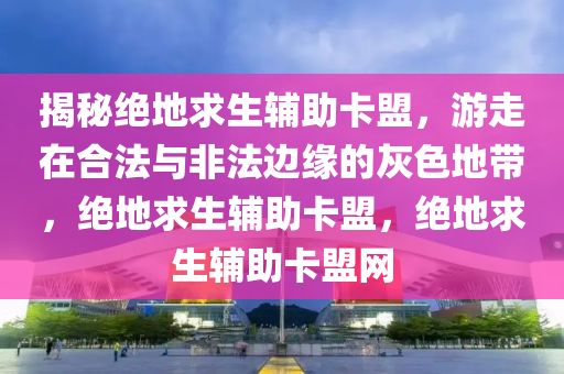 揭秘绝地求生辅助卡盟，游走在合法与非法边缘的灰色地带，绝地求生辅助卡盟，绝地求生辅助卡盟网