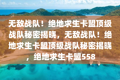 无敌战队！绝地求生卡盟顶级战队秘密揭晓，无敌战队！绝地求生卡盟顶级战队秘密揭晓，绝地求生卡盟558