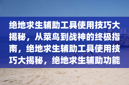 绝地求生辅助工具使用技巧大揭秘，从菜鸟到战神的终极指南，绝地求生辅助工具使用技巧大揭秘，绝地求生辅助功能