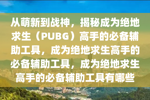 从萌新到战神，揭秘成为绝地求生（PUBG）高手的必备辅助工具，成为绝地求生高手的必备辅助工具，成为绝地求生高手的必备辅助工具有哪些