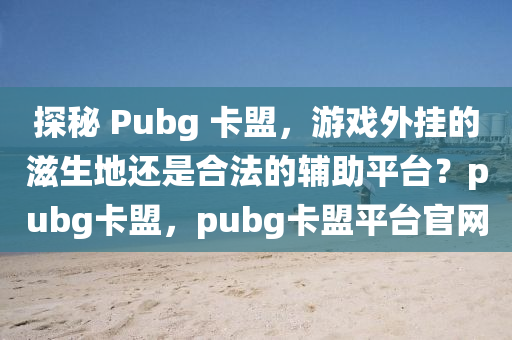 探秘 Pubg 卡盟，游戏外挂的滋生地还是合法的辅助平台？pubg卡盟，pubg卡盟平台官网