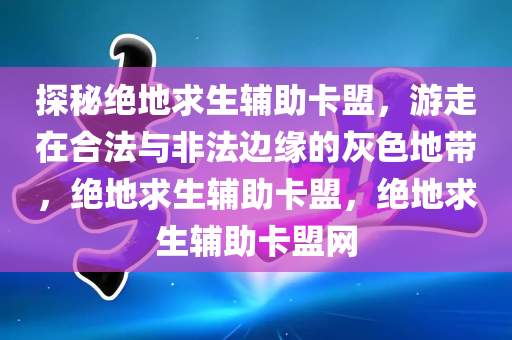 探秘绝地求生辅助卡盟，游走在合法与非法边缘的灰色地带，绝地求生辅助卡盟，绝地求生辅助卡盟网