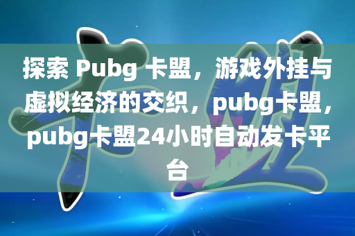 探索 Pubg 卡盟，游戏外挂与虚拟经济的交织，pubg卡盟，pubg卡盟24小时自动发卡平台