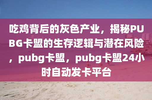 吃鸡背后的灰色产业，揭秘PUBG卡盟的生存逻辑与潜在风险，pubg卡盟，pubg卡盟24小时自动发卡平台
