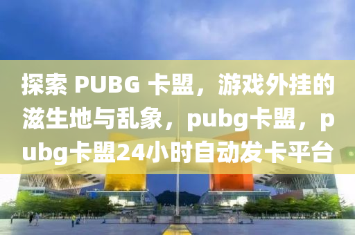 探索 PUBG 卡盟，游戏外挂的滋生地与乱象，pubg卡盟，pubg卡盟24小时自动发卡平台