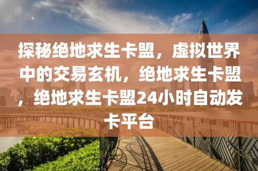 探秘绝地求生卡盟，虚拟世界中的交易玄机，绝地求生卡盟，绝地求生卡盟24小时自动发卡平台