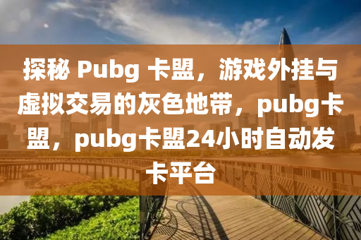 探秘 Pubg 卡盟，游戏外挂与虚拟交易的灰色地带，pubg卡盟，pubg卡盟24小时自动发卡平台