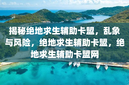 揭秘绝地求生辅助卡盟，乱象与风险，绝地求生辅助卡盟，绝地求生辅助卡盟网