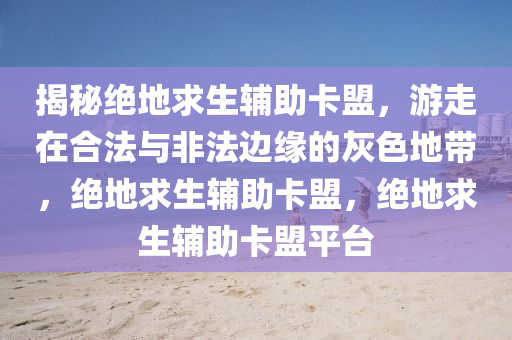 揭秘绝地求生辅助卡盟，游走在合法与非法边缘的灰色地带，绝地求生辅助卡盟，绝地求生辅助卡盟平台