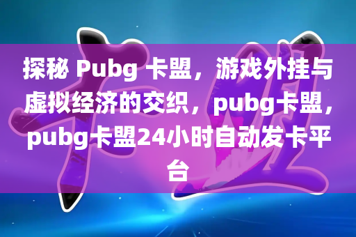 探秘 Pubg 卡盟，游戏外挂与虚拟经济的交织，pubg卡盟，pubg卡盟24小时自动发卡平台