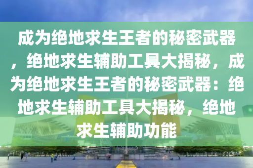成为绝地求生王者的秘密武器，绝地求生辅助工具大揭秘，成为绝地求生王者的秘密武器：绝地求生辅助工具大揭秘，绝地求生辅助功能