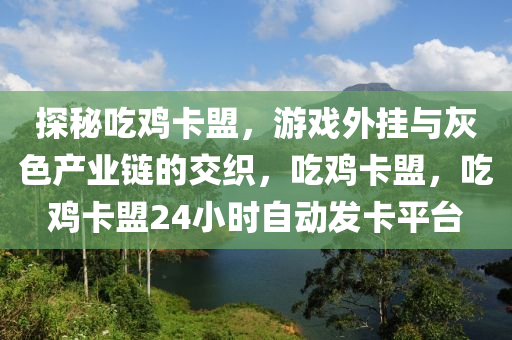 探秘吃鸡卡盟，游戏外挂与灰色产业链的交织，吃鸡卡盟，吃鸡卡盟24小时自动发卡平台