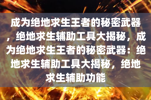 成为绝地求生王者的秘密武器，绝地求生辅助工具大揭秘，成为绝地求生王者的秘密武器：绝地求生辅助工具大揭秘，绝地求生辅助功能