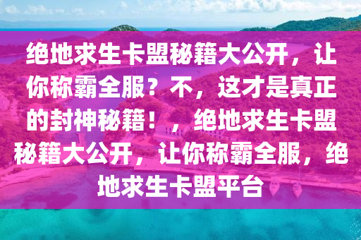 绝地求生卡盟秘籍大公开，让你称霸全服？不，这才是真正的封神秘籍！，绝地求生卡盟秘籍大公开，让你称霸全服，绝地求生卡盟平台