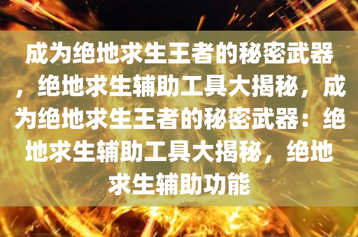 成为绝地求生王者的秘密武器，绝地求生辅助工具大揭秘，成为绝地求生王者的秘密武器：绝地求生辅助工具大揭秘，绝地求生辅助功能