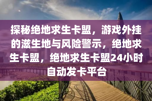 探秘绝地求生卡盟，游戏外挂的滋生地与风险警示，绝地求生卡盟，绝地求生卡盟24小时自动发卡平台