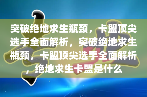 突破绝地求生瓶颈，卡盟顶尖选手全面解析，突破绝地求生瓶颈，卡盟顶尖选手全面解析，绝地求生卡盟是什么