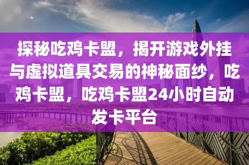 探秘吃鸡卡盟，揭开游戏外挂与虚拟道具交易的神秘面纱，吃鸡卡盟，吃鸡卡盟24小时自动发卡平台