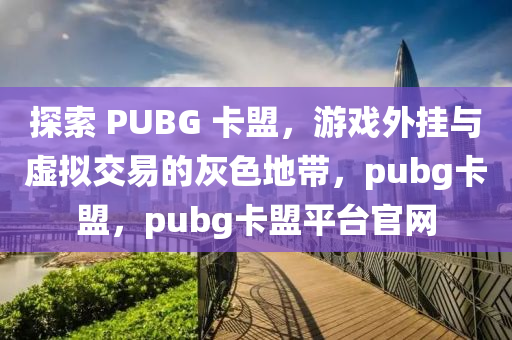 探索 PUBG 卡盟，游戏外挂与虚拟交易的灰色地带，pubg卡盟，pubg卡盟平台官网