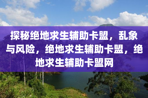 探秘绝地求生辅助卡盟，乱象与风险，绝地求生辅助卡盟，绝地求生辅助卡盟网