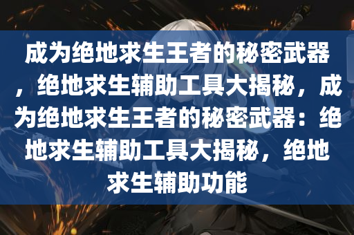 成为绝地求生王者的秘密武器，绝地求生辅助工具大揭秘，成为绝地求生王者的秘密武器：绝地求生辅助工具大揭秘，绝地求生辅助功能