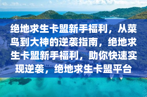 绝地求生卡盟新手福利，从菜鸟到大神的逆袭指南，绝地求生卡盟新手福利，助你快速实现逆袭，绝地求生卡盟平台