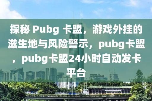 探秘 Pubg 卡盟，游戏外挂的滋生地与风险警示，pubg卡盟，pubg卡盟24小时自动发卡平台