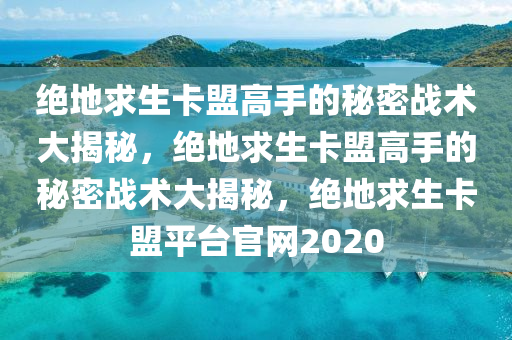 绝地求生卡盟高手的秘密战术大揭秘，绝地求生卡盟高手的秘密战术大揭秘，绝地求生卡盟平台官网2020