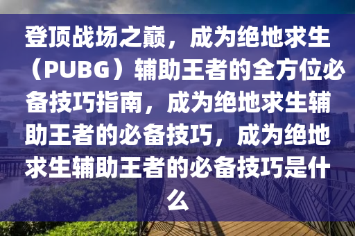 登顶战场之巅，成为绝地求生（PUBG）辅助王者的全方位必备技巧指南，成为绝地求生辅助王者的必备技巧，成为绝地求生辅助王者的必备技巧是什么