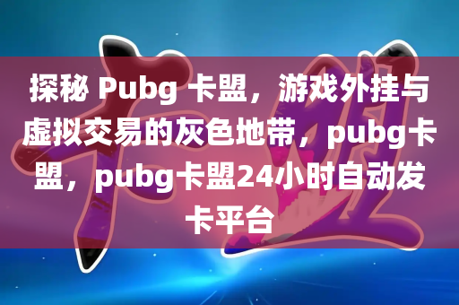 探秘 Pubg 卡盟，游戏外挂与虚拟交易的灰色地带，pubg卡盟，pubg卡盟24小时自动发卡平台