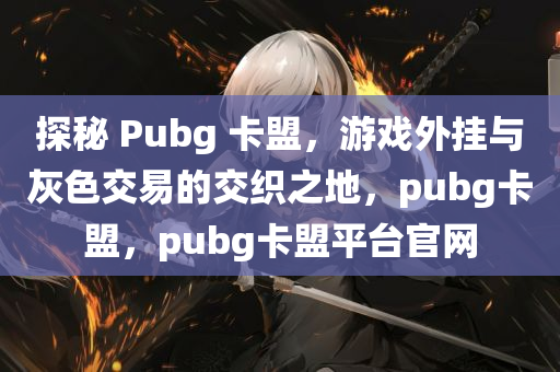 探秘 Pubg 卡盟，游戏外挂与灰色交易的交织之地，pubg卡盟，pubg卡盟平台官网