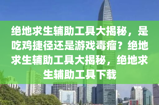 绝地求生辅助工具大揭秘，是吃鸡捷径还是游戏毒瘤？绝地求生辅助工具大揭秘，绝地求生辅助工具下载