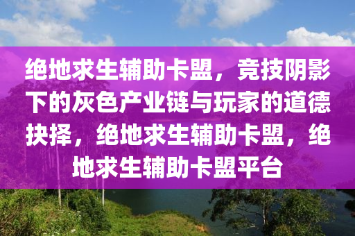 绝地求生辅助卡盟，竞技阴影下的灰色产业链与玩家的道德抉择，绝地求生辅助卡盟，绝地求生辅助卡盟平台