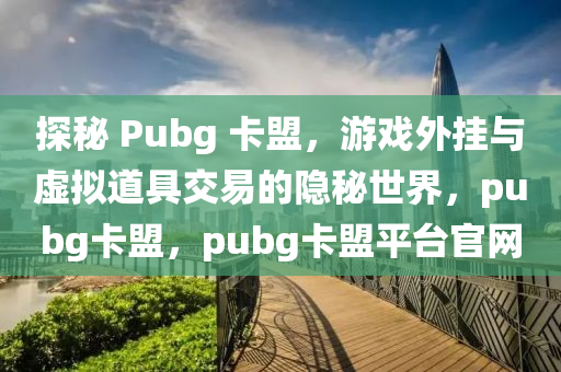 探秘 Pubg 卡盟，游戏外挂与虚拟道具交易的隐秘世界，pubg卡盟，pubg卡盟平台官网